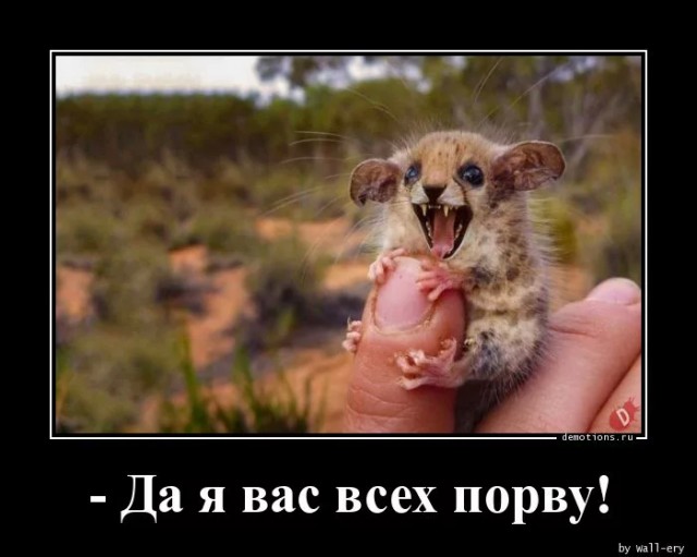 Ебучий случай, это что за новый мститель?