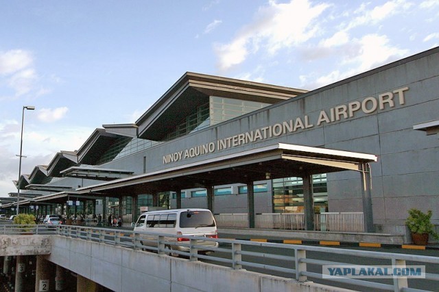 Семь самых известных жителей аэропортов