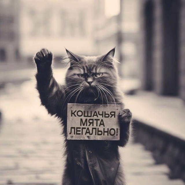 Прикольные и просто красивые картинки 23.09.2025