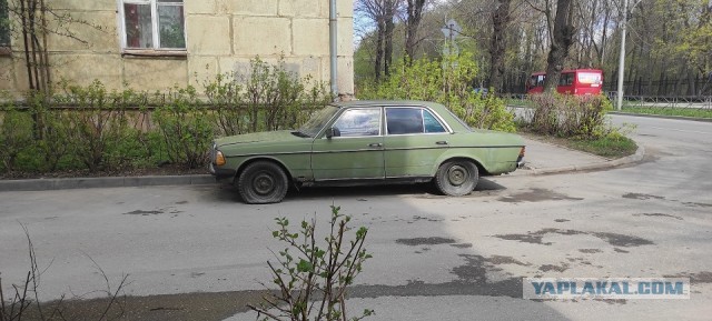 Фото бывших