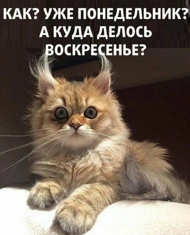Картинки разные с надписями и без