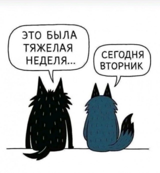 Ну что вы злые то какие?