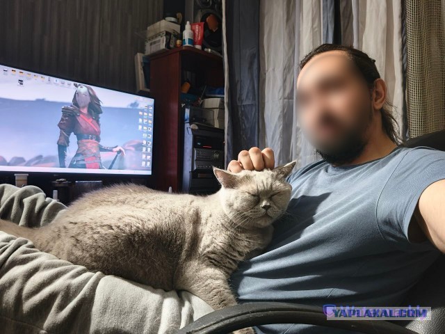 Нужен совет новому кошатнику!