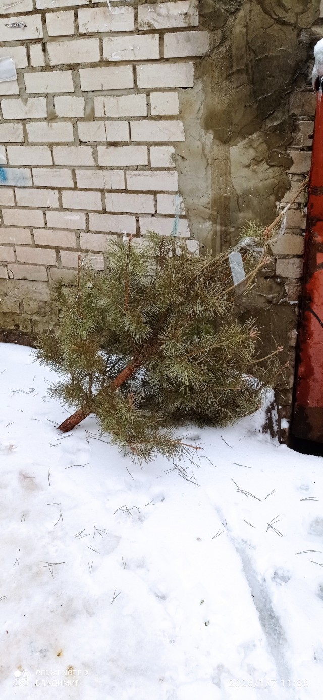 Операция с Рождеством или первый пошёл