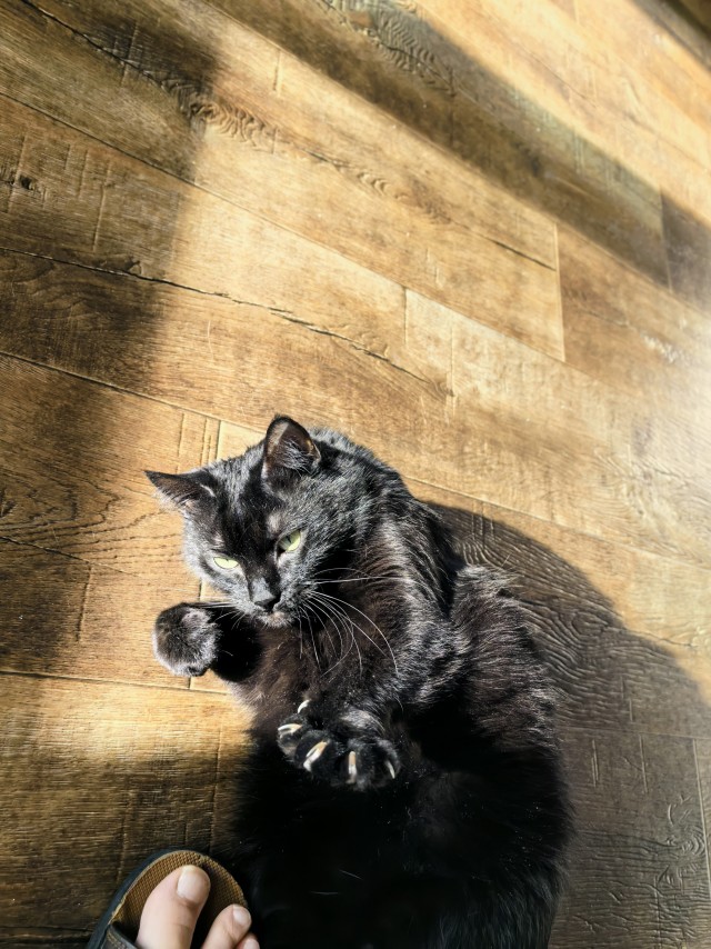 Чот накОтило.