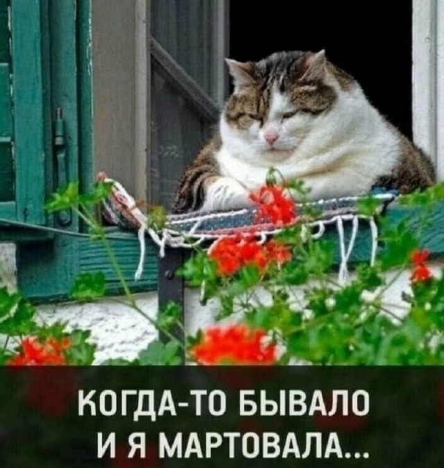 Кушал я сегодня или нет?