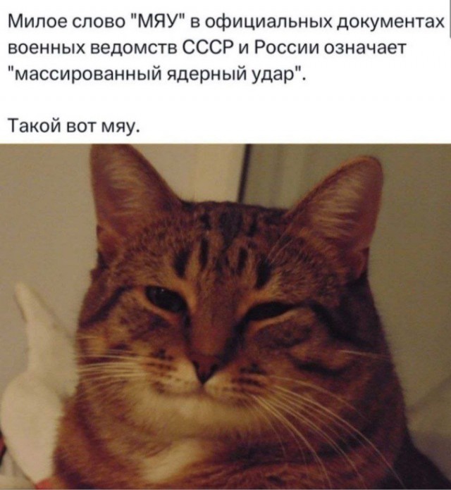 Среды картинки