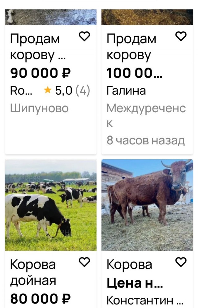 В Новосибирске названа сумма компенсации за принудительный убой изъятого скота