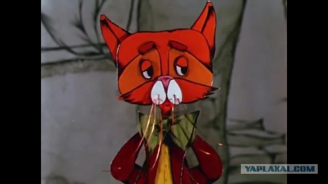 Доброе утро котаны!