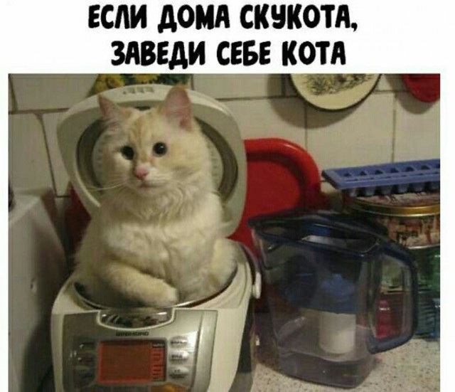 Прикольные и просто красивые картинки 04.09.2026