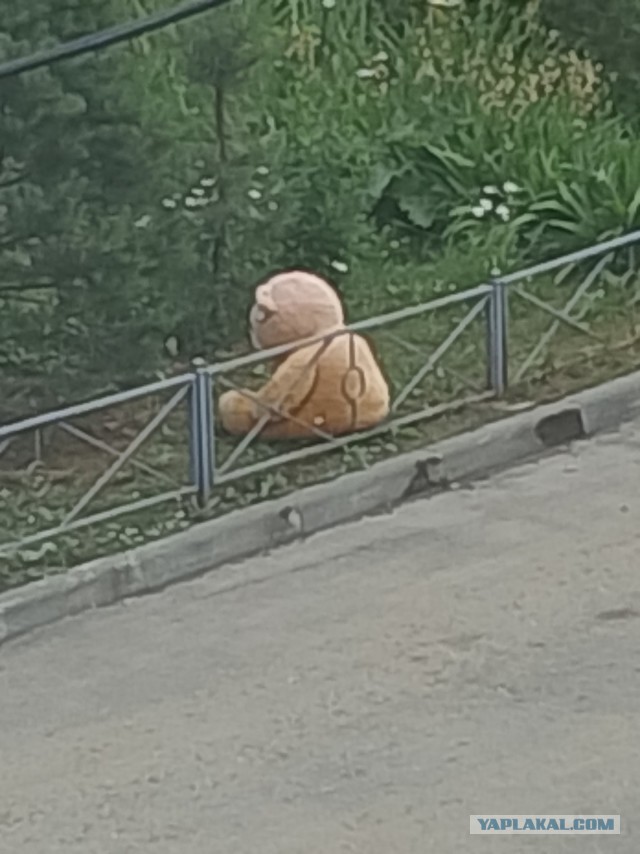 Скиньте рандомную хрень