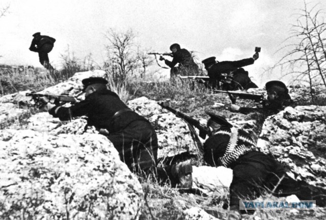 Самая знаменитая фотография солдата ВОВ