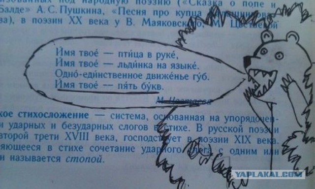 Мечты молодого сисадмина