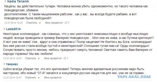 Цензор.нет в российском интернете