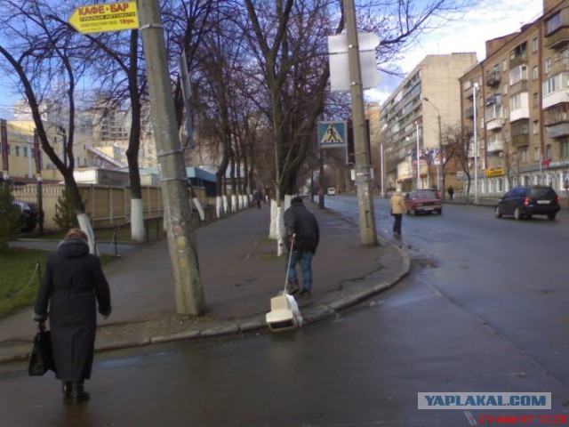 Немного позитива на пятницу