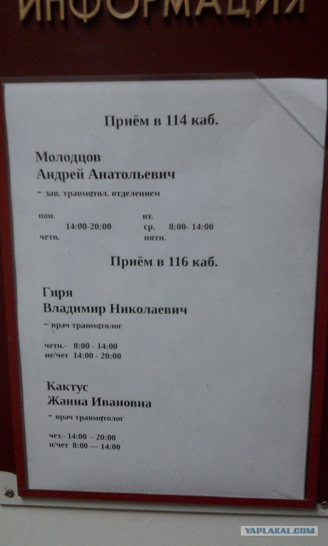 История о бешенстве и почему оно так ужасно