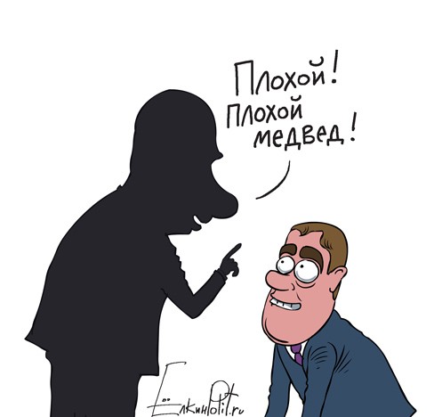 Плохой, плохой медвед!