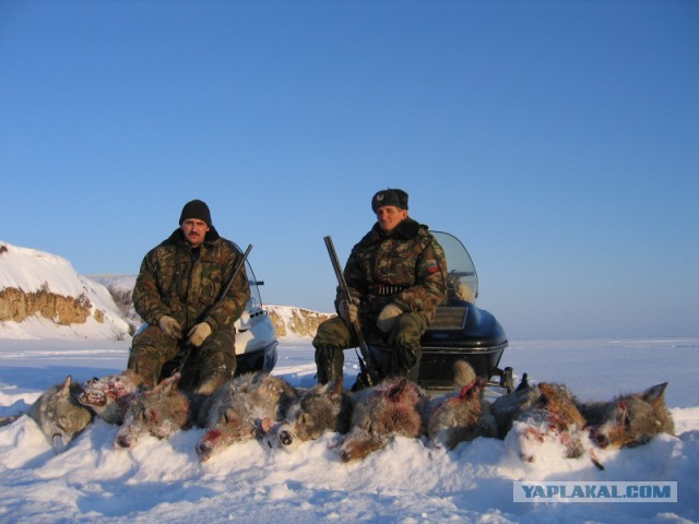 Хочу в Россию.