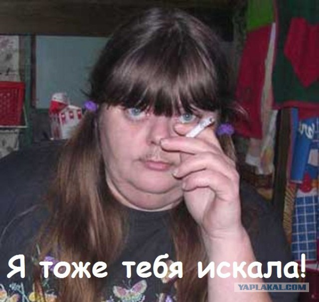 ЯП не вдул ( секс-шит парад )