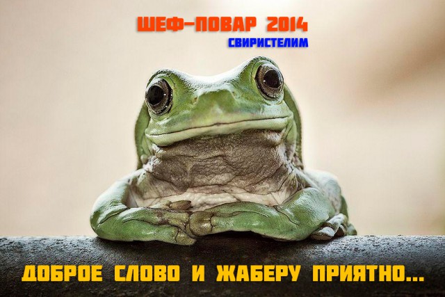 Финал кулинарного конкурса "Шеф-повар 2014"