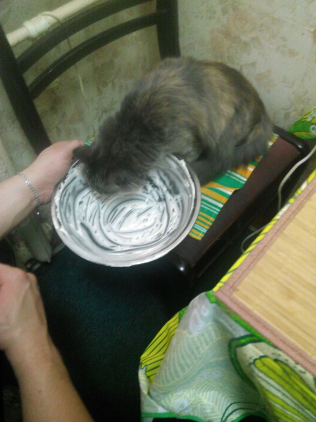Про Тучку, которая стала Дымкой