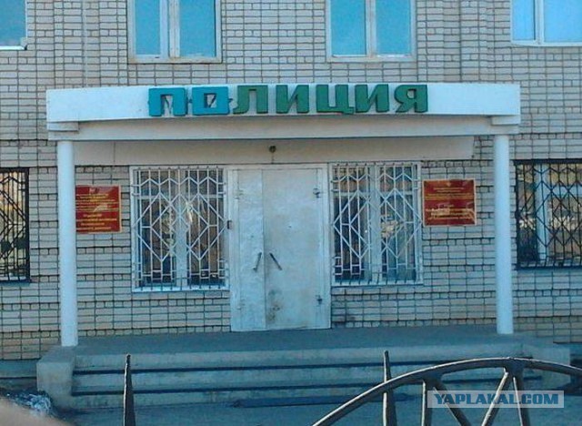 41 веселая картинка