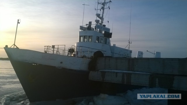 Купил билет в параллельную вселенную