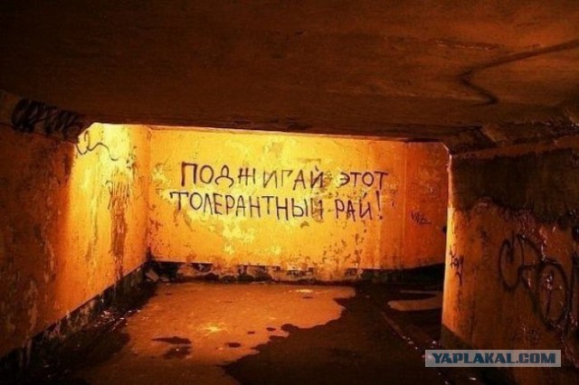 Надписи