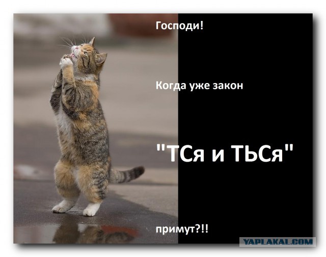 Лев против ... откуда растут ноги