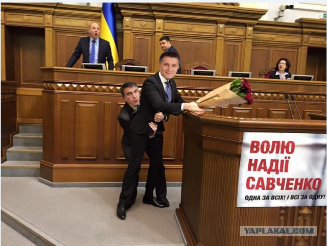 Сеня просится на жабу.