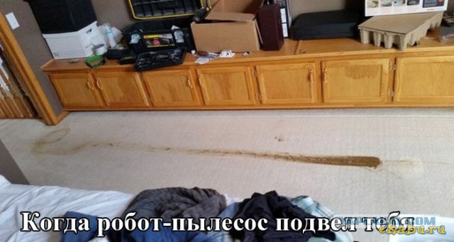 Весёлые картинки