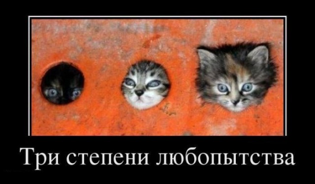 Смешные картинки