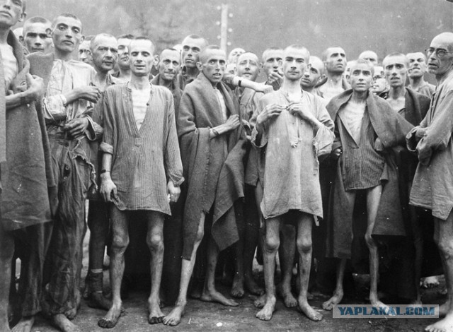 В результате травли парень сбросил 76 кг