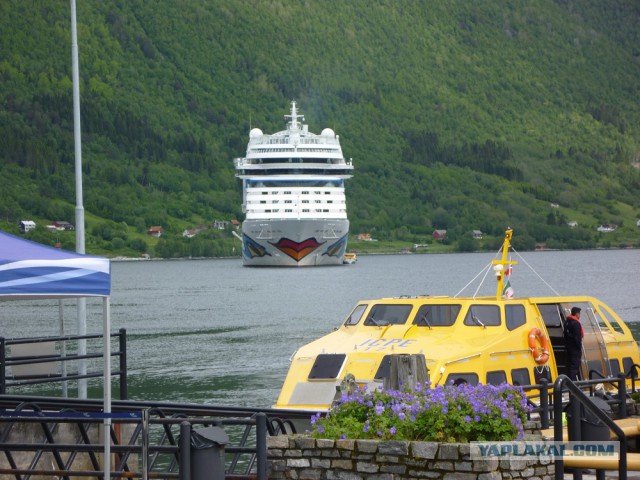 Подборка интересных и веселых картинок