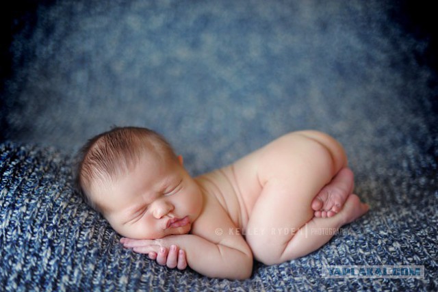 Песня о любви. Поехал в Венесуэлу и привез красавицу-жену