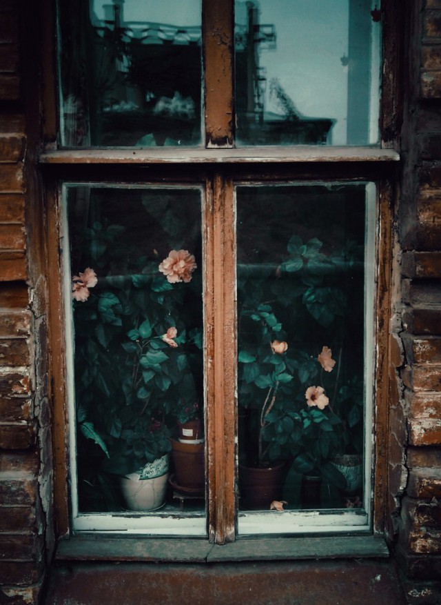 Подборка "тёплых, уютных, домашних" фотографий. Часть 2