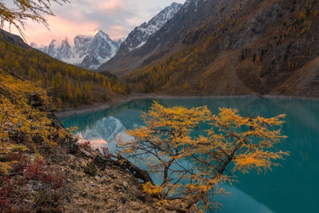 Моменты, запечатлённые на фото и просто позитив 5