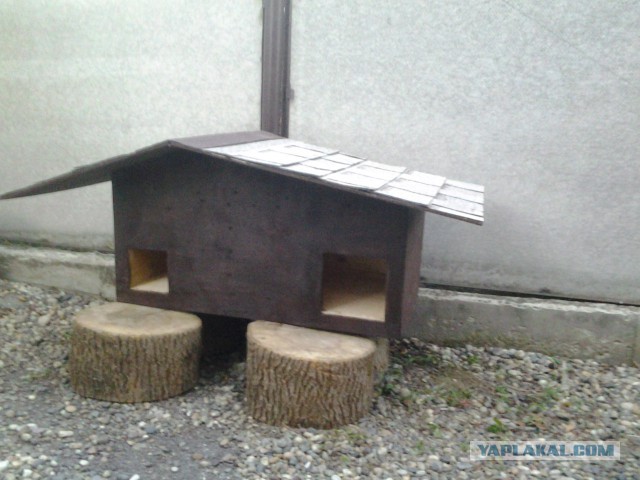 Дом для кота