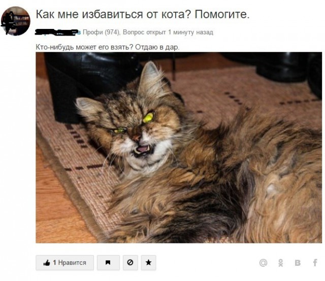 Подборка интересных и веселых картинок
