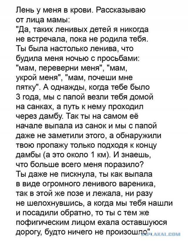 Подборка интересных и веселых картинок