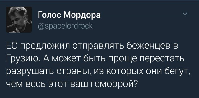 Глава МИД Австрии предлагает «спихнуть» беженцев в Грузию