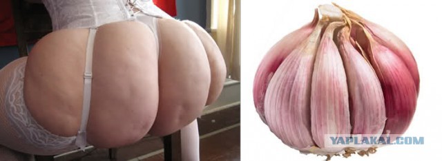 V- значит vulgaris