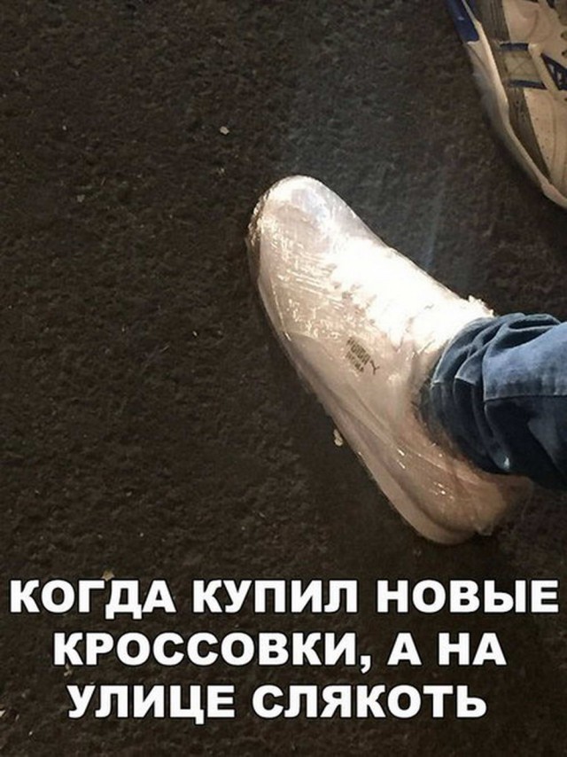 150 картинки для поднятия настроения!