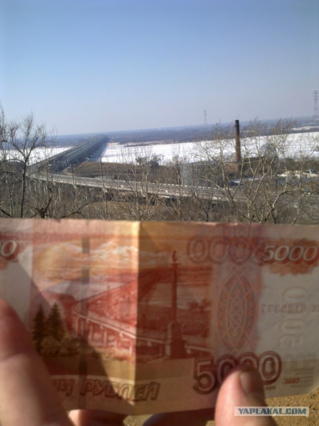 Сами с усами амурского сома