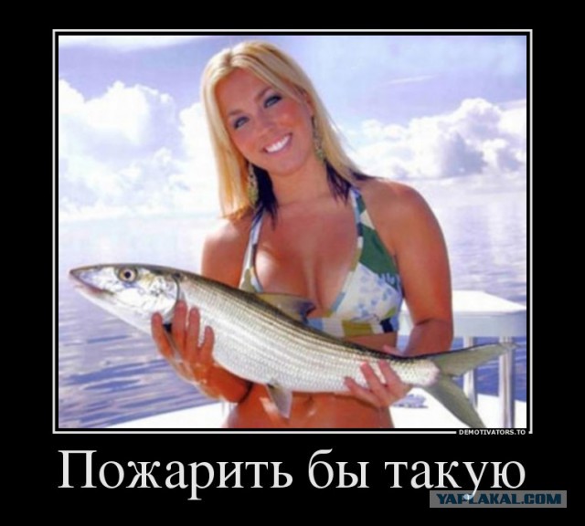 Любая женщина будет добрее, если вы умеете жарить