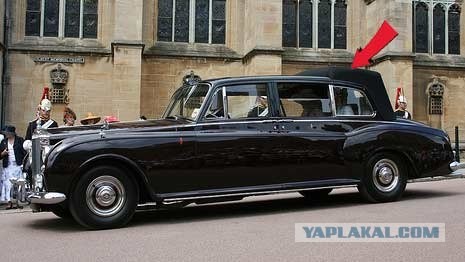 Вот это любовь!