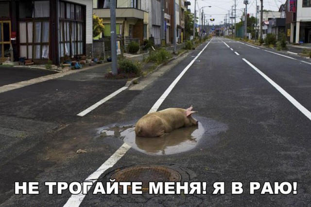 Нестандартный юмор