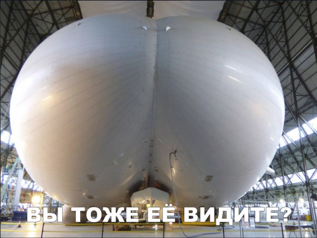 Прикольные картинки обо всем