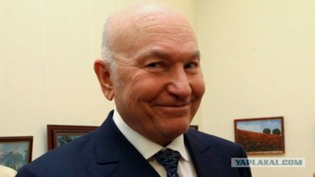 Москвичи: "Регионы, кормите себя сами!"