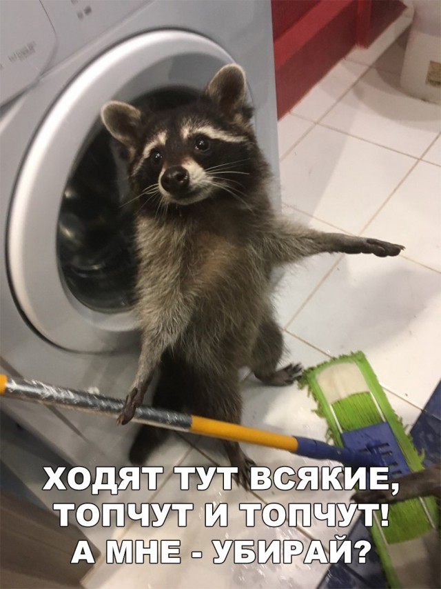 Нестандартный юмор